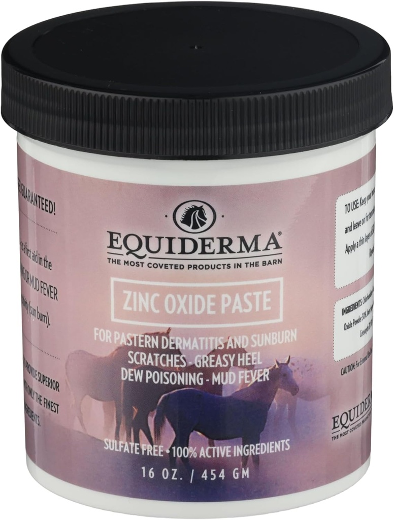Equiderma Zinc Oxide Tempel untuk Kuda, 16 oz 124; Treatment untuk Dermatitis Pastern, Scratches & Sunburn 124; Protect Water- Resistant Barrier & UV Shield 124; Equine Skin Treatment