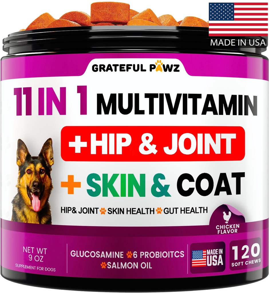 Dog Multivitamin Chewable with Glucosamin - Dog Vitamin and Suplemen, Senior & Puppy Multivitamin for Dogs - Pet Chondroitin Hip dan Gabungan Dukungan Kesehatan, Imune Booster, Skin, Heart, Progration