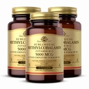 Solgar Methylcobalamin (Vitamin B12) 5000 mcg, 60 Nuggets (Paket 3) - Cherry Flavor - Pasokan Metabolisme Energi - Body- Siap, Aktif Bentuk - Non-GMO, Vegan, Gluten Free - 180 Total Servings