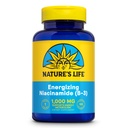 Nature 's Life Energizing Niacinamide, Vitamin B3 10000mg - Potency High, No Flush Niasin Suplemen - Nerve Fungsi, Energi dan Metabolisme Dukungan - Jaminan Hari 60 - 100 Pelayan, 100 Tablet