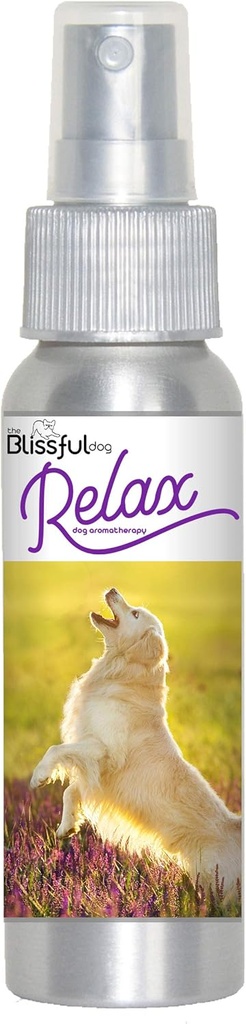 Anjing Emas Retriever Relax Anjing Aromatherapy Semprot untuk Keanehan Anjingmu