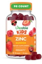 Lifeable Zinc Gummies for Kids 124; 15mg 124; Great Tasting Kids Zinc Suplemen 124; GMO Free Vegetarian Zinc Vitamin 124; untuk Healthy Skin dan Imune Dukungan untuk Anak dan Anak-anak: 124; 90 Gummi