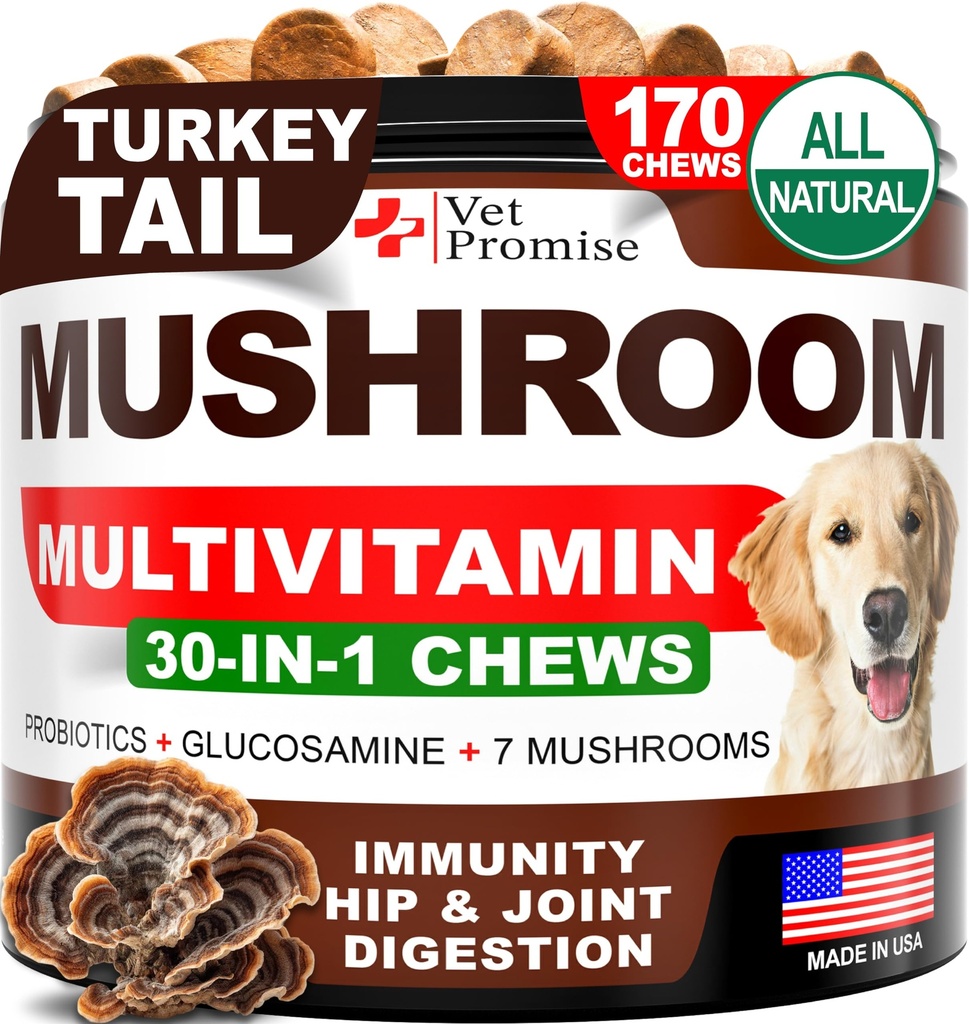 Jamur untuk Anjing - 170 Chews - Turkey Tail - Mushroom Suplemen untuk Dogs - Lions Mane - Reishi - kekebalan Mendukung Multivitamin Vitamin - Gabungan Kesehatan - Energi - Gut - Skin - Dibuat di Amerika Serikat