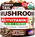 Jamur untuk Anjing - 170 Chews - Turkey Tail - Mushroom Suplemen untuk Dogs - Lions Mane - Reishi - kekebalan Mendukung Multivitamin Vitamin - Gabungan Kesehatan - Energi - Gut - Skin - Dibuat di Amerika Serikat