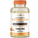 Boswellia Extract Completion Completion Completion by powered by Plants - 65% High Potwality Boswellics Acids with BioPerine - Supports Immunity, Mobility & Flexibility - 120 Vegan Capsules