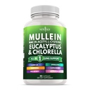 Mullein Leaf Extract for Lungs Cleanse NAC Tambahan Chlorophyll Chlorella Elderberry Ginger Licorice Astragalus Oregano Turmeric Dukung 90 Count