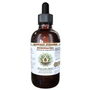 Echinacea Alcohol- Free Liquid Extract, Echinacea (Echinacea Angustifolia) Root Kering Glycerite Hawaii Pharm Natural Herbal Supplemen 2 oz