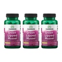 Swanson Green Lipped Mussel (Freeze-Dry) - New Zealand Jourity Health & Mobility Supplement - Natural Formula May Dukung Kesehatan & Digetical Fungsi - (60 Kasules, 500mg Masing-masing) (3 Pack)