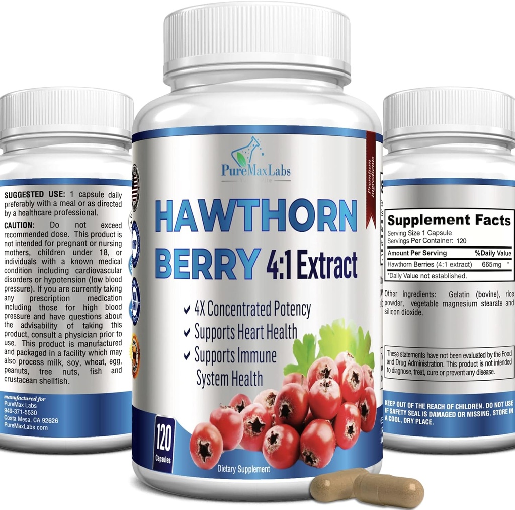 Hawthorn Berry 4: 1 Ekstrak (120 Kapsul) Dukungan Sistem kekebalan, Super Antioksidan, Hawthorn Berry Capsules Terkonsentrasi dari 2660mg berry