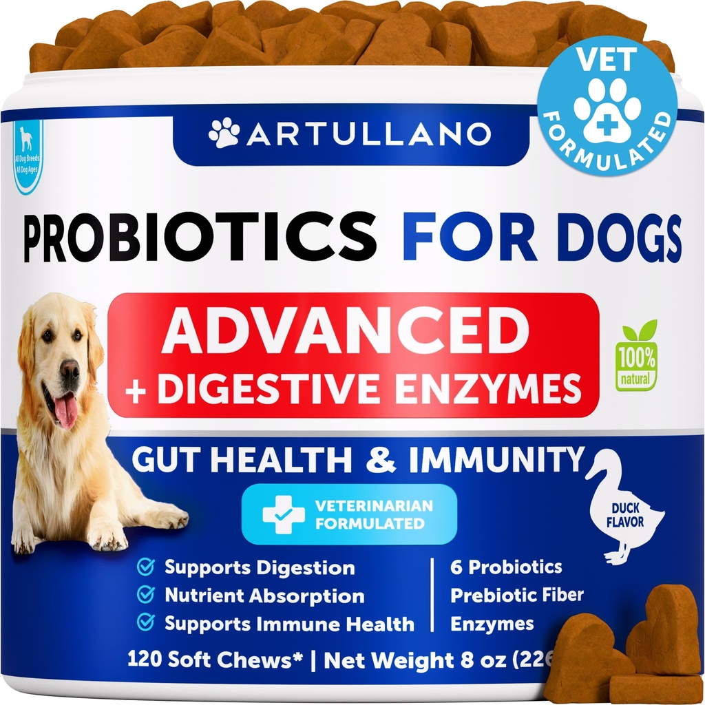 Progres for Dogs - Dukung Kesehatan Gut, Itchy Skin, Allergies, Imunitas, Keseimbangan Yeast - Progories Dog dan Digetical Enzymes dengan Prestim - Menguring Diare, Gas - 120 Probiotic Chews for Dogs