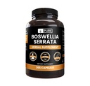 Murni Ingrediens Boswellia Serrata (365 Capsules) Tidak ada Magnesium Atau isian beras, Selalu Murni, Lab Verifikasi