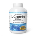 Faktor Alam, Micronized L- Glutamine 1000 mg, Supports Muscles and Immune Fungsi, 180 Kapsul