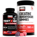 Force Factor Performance Bundle: Tes X180 Makmal T-Booster (60 Mixed Berry Gummies) & Creatine Monohydrate 5g (150 Semangka Gummies)