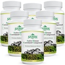 Senyawa Terpadu Aktif Hexose 1500 mg Tambahan, Alami 8 Jamur Ekstrak, Sistem Ammune, Fungsi Hati, Natural Killer dan T Cells Aktivitas, 540 Vevgie Capsules