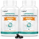 Organbasi Lipomal NAD + Suplemen 500 mg, Absorpsi Tinggi, Boost NAD + dengan TMG 250 mg, Actual NAD Plus More Efisien Daripada Nicotinamide Riboside, Dukungan Energi Cellular, Anging sehat 124; 120 Softgels