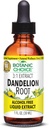 Blanic Choice Dandelion Root, Alkohol Free Liquid Extract - Tradisional Dukungan untuk Kesehatan Hati, CIeanse racun, Aid Digestion- 1 Ounce Fluid