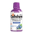 Bluebonnet Nutrition Liquid Calcium Citrate Magnesium Citrate, Vitamin D3, Bone Health, Gluten Free, Soy free, milk free, Kosher, 32 Servings, Blueberry Flavor, 16 Fl Oz (Paket 1)