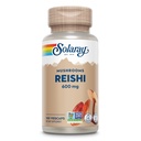 SOLARAY Reishi Mushroom 600mg - Reishi Mushroom Capsules untuk Dukungan Imune - Vegan, Lab Verifikasi - 60- Day Money- Jaminan Kembali - 100 Hamba, 100 VevCaps