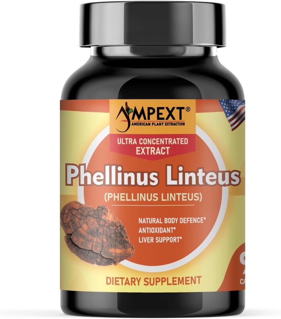 Phellinus lineus Mushroom Extract - Premium Quality, Hanya Fruiting Bodies, Antioksidant, Imunity Booster, Dukungan Hati, 90 Veg Caps.