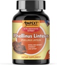 Phellinus lineus Mushroom Extract - Premium Quality, Hanya Fruiting Bodies, Antioksidant, Imunity Booster, Dukungan Hati, 90 Veg Caps.