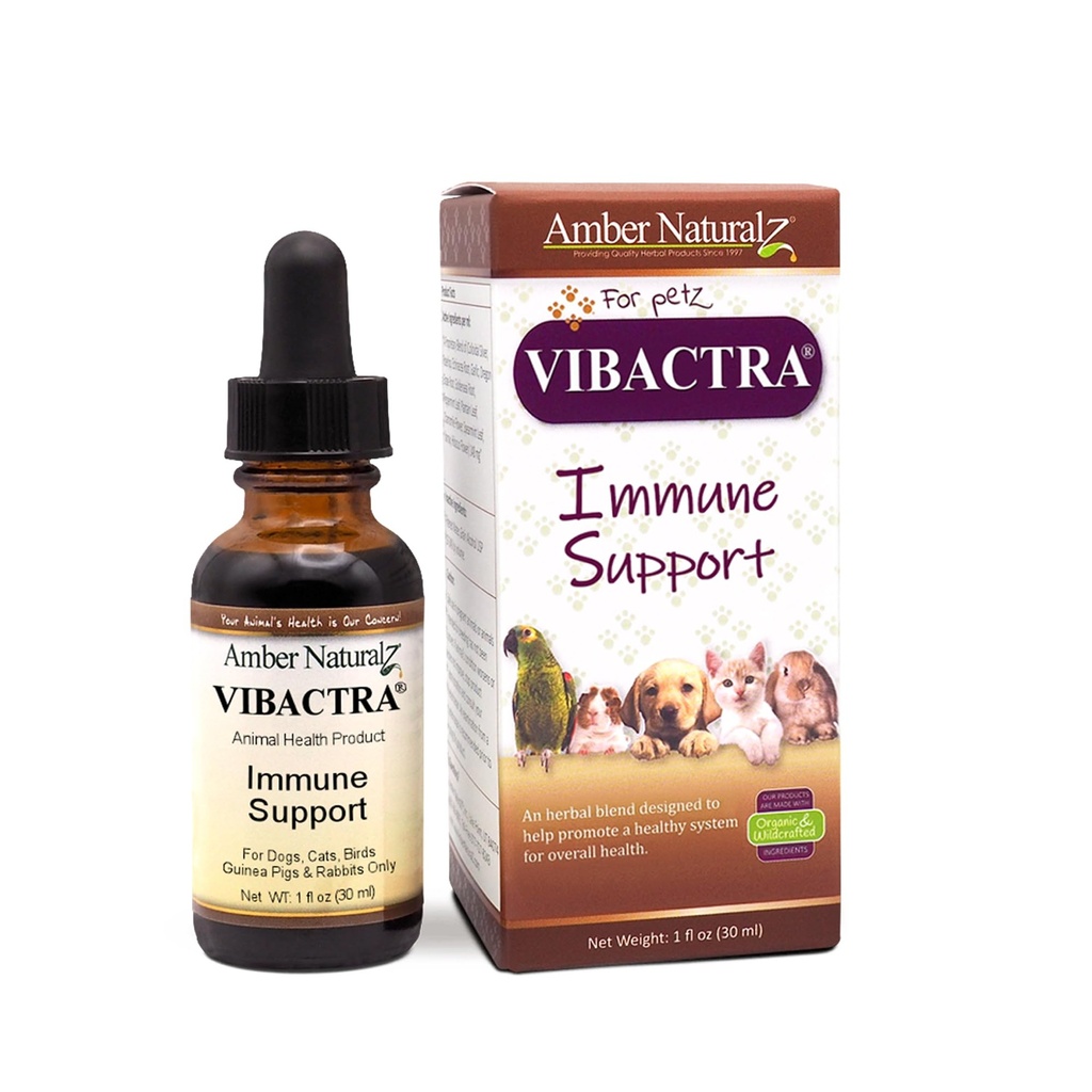 Amber Vibactra Ammune Support Herbal Supplement for Dogs, Cats, Birds, Guinea Pigs, and Rabbits 12.4; Pet Herbal Blend for Overall Health 124; 1 Fluid Ounce Glass Bottle 124; Manufaktur di Amerika Serikat