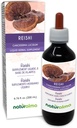 Reishi Reishi (Ganoderma lucidum) Fungus atau Mushroom Alcohol- Free Tincture - 6.76 km oz Liquid Extract in Drops - Herbal Supplemen - Vegan