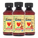 CHILDLIFE ESSENTIALS Liquid Zinc Plus for Kids & Toddler - Liquid Suplement Drops, Zinc Gluconate & Copper for Imune Support - Mango Strawberry, 4 Fl Oz (Paket 3)