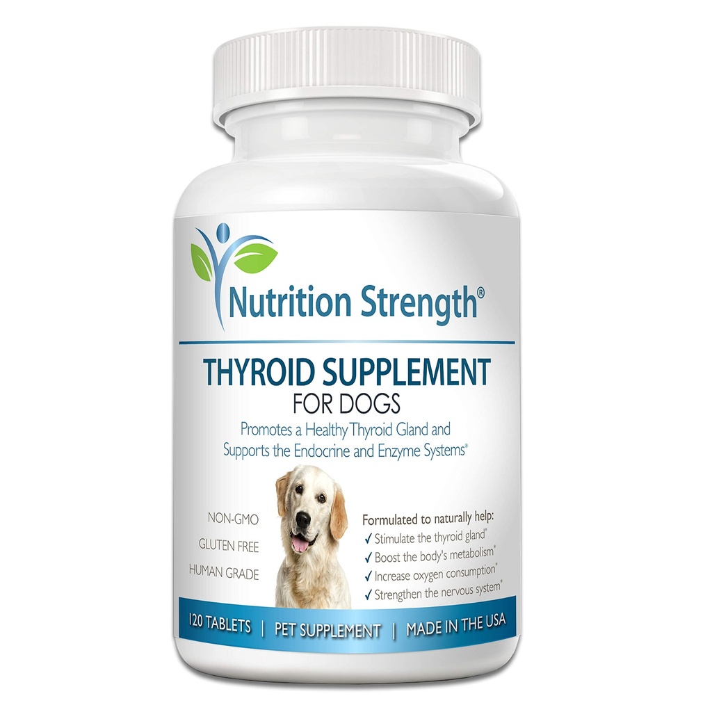 Suplemen Thyroid untuk Anjing, Dukungan untuk Hipotiroidism dalam Dogs dengan Bladderwrack Organik, Promoses Fungsi Normal Endokrine dan Enzyme Systems, 120 Cable Tablet