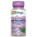 SOLARAY Saw Palmetto Extract - Prostate Health and Urinary Trakte - 136 mg Fatty Acids and Spols - Lab Verifikasi, Money- Back Affitee (120 Pelayan, 120 Softgels)