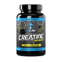 eFlow Creatine Capsules, HCL Creatine Pills - Creatine Suplemen untuk Pria & Women, Muscle Builder, Endurance, Kekuatan, dengan AstraGin dan Senactiv (1500mg, 90 Capsules)