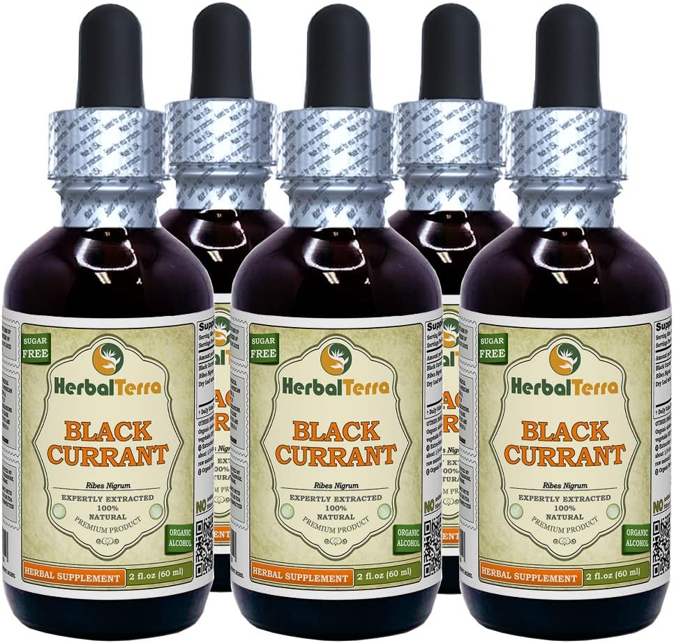 Black Currant (Ribes nigrum) Tincture, Dry Leaves Liquid Extract (Nama Merek: HerbalTerra, Proughtly Made in USA) 5x2 fl.oz (5x60 ml)