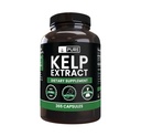 Murni lngrediens Kelp Extract (365 Capsules) No Magnesium Or Rice Fillers, Always Pure, Lab Verified