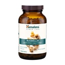 Himalaya Boswellia, Dukungan Gabungan untuk Mobility and Flexibility, Promotes Tistes Preservation, 250 mg, 240 Kapsul