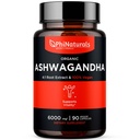Philanal Organic Ashwagandha Root Extract in Vegan Capsules Equal to 6000 Mg Root - Ashwaganda Suplemen untuk Pria dan Wanita dengan 1500 Mg Per Serving 30 Pelayan - 500mg Per Vegan Capsule 90 Count