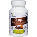 Sayan Siberian Chaga Mushroom Extract - 90 Capsules / 420mg ea - Natural & Wild- Harvest antioksidant Support & Regulate Body Functions - Vegan, Non-GMO, No Filler or Addontives