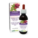 Frualma Cranberry (Valcinium macrocarpon atau Oxycoccus makrocarpos) Fruit Alcohol- Free Tincture - 4 fl oz Liquid Extract in Drops - Herbal Suplemen - Vegan