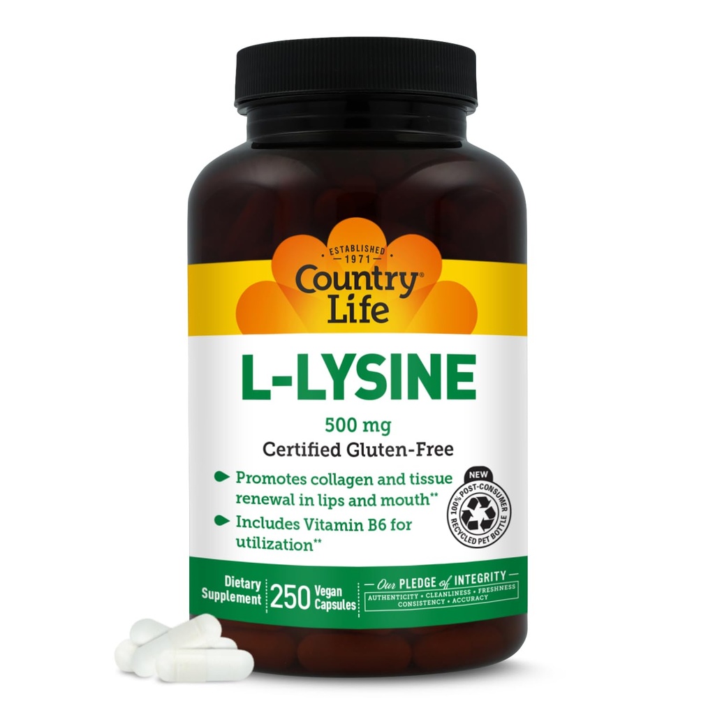 Negara Hidup L- Lysine 500mg dengan B-6, Mendukung Kesehatan Imune, Promotes Collagen Renewal di Lips dan Mouth, 250 Vegan Kapsul, Disertifikasi Gluten Bebas, Sertifikasi Vegan