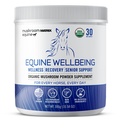 Om Mushroom Matrix - Equine 124; Wellsing Gibser124; USA Grown Human- Grams Organic Moshroom Menunjukan Suplemen Kuda Aman 124; Wellness, & Senior Dukung 124; 300 Grams, 10.5 oz
