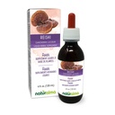 Reishi Reishi (Ganoderma lucidum) Jamur atau Mushroom Alcohol- Free Taincture - 4 quid oz Liquid Extract in Drops - Herbal Supplemen - Vegan