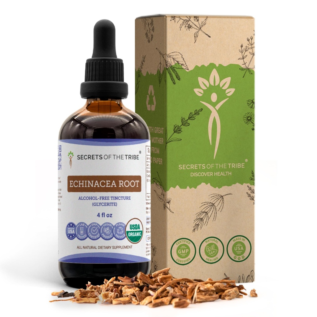 Echinacea Root USDA Organic Tincture 124; Alcohol-Free Extract, High- Potency Herbal Drops, Imune System Health 124; Dibuat dari 100% Certified Organic Echinacea Root (Echinacea Purpurea) 4 oz