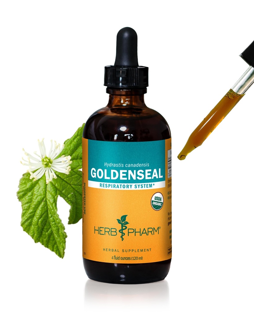 Herb Pharm Sertifikasi Organik Goldenseal Ekstrak Cair untuk Sistem Repiratory Dukungan - 4 Ounce