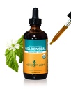 Herb Pharm Sertifikasi Organik Goldenseal Ekstrak Cair untuk Sistem Repiratory Dukungan - 4 Ounce