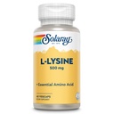 SOLARAY L Lysine 500 mg Capsules - Freeman Formulir Amino Acids Suplemen - Kuat Wellness Dukungan dengan L-Lysine Amino Acid - Lab Diverifikasi, 60- Hari Jaminan, 60 hamba, 60 VexCaps