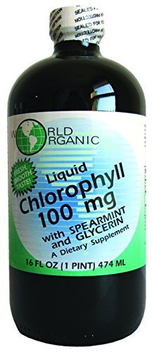 Clorophyll Liquid Organisasi Dunia dengan Spearmint, 16 Fluid Ounce