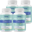Unsur untuk Perempuan dan Pria, 300 Milyar CFU 24 Strains Prolection + 15 Organic Herbs Pregnanic Blend, Tambahan Kesehatan Sehat Shelf Stable Gut untuk Imuniune & Whole- Body Health, 8 Bulan Suppply