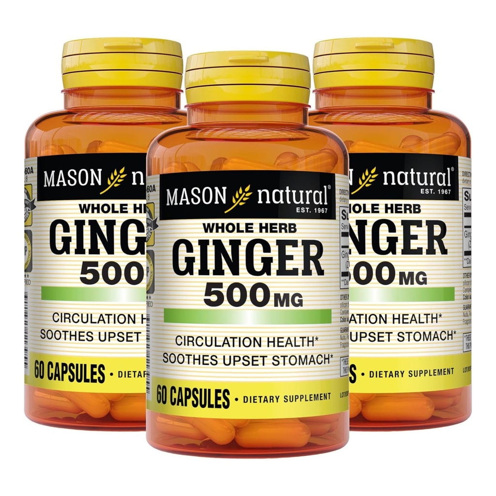 MASON NATURAL Whole Herb Ginger 500 mg, 6 Month Suppply, Natural Herbal Suplemen, 60 Capsules (3 Pack)