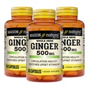 MASON NATURAL Whole Herb Ginger 500 mg, 6 Month Suppply, Natural Herbal Suplemen, 60 Capsules (3 Pack)