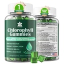 Chlorofil Gummill - Super Green dengan Wheat Grass, Sea Moss, ACV & Elderberry, Echinacea, Kompleks Zinc & Vitamin D3, C, E, B12 untuk Deodoran Alam, Imune & Distrable Dukungan, 60 Chews