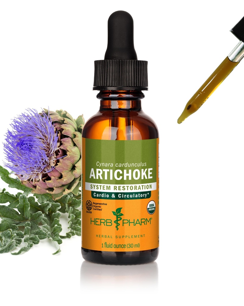 Herb Pharm Certified Organic Artichoke Liquid Extract for Cardiovascular and Circular Support - 1 Ounce