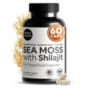 Atlantic Moss Sea dan Shilajit Capsules - 5-in- 1 Seamoss Shilajit Combo dengan Bladderwrack, Burdock Root & Black Pepper - Suplemen Mass Laut untuk Absorpsi & Vitalitas - 2705 mg - 60 Count